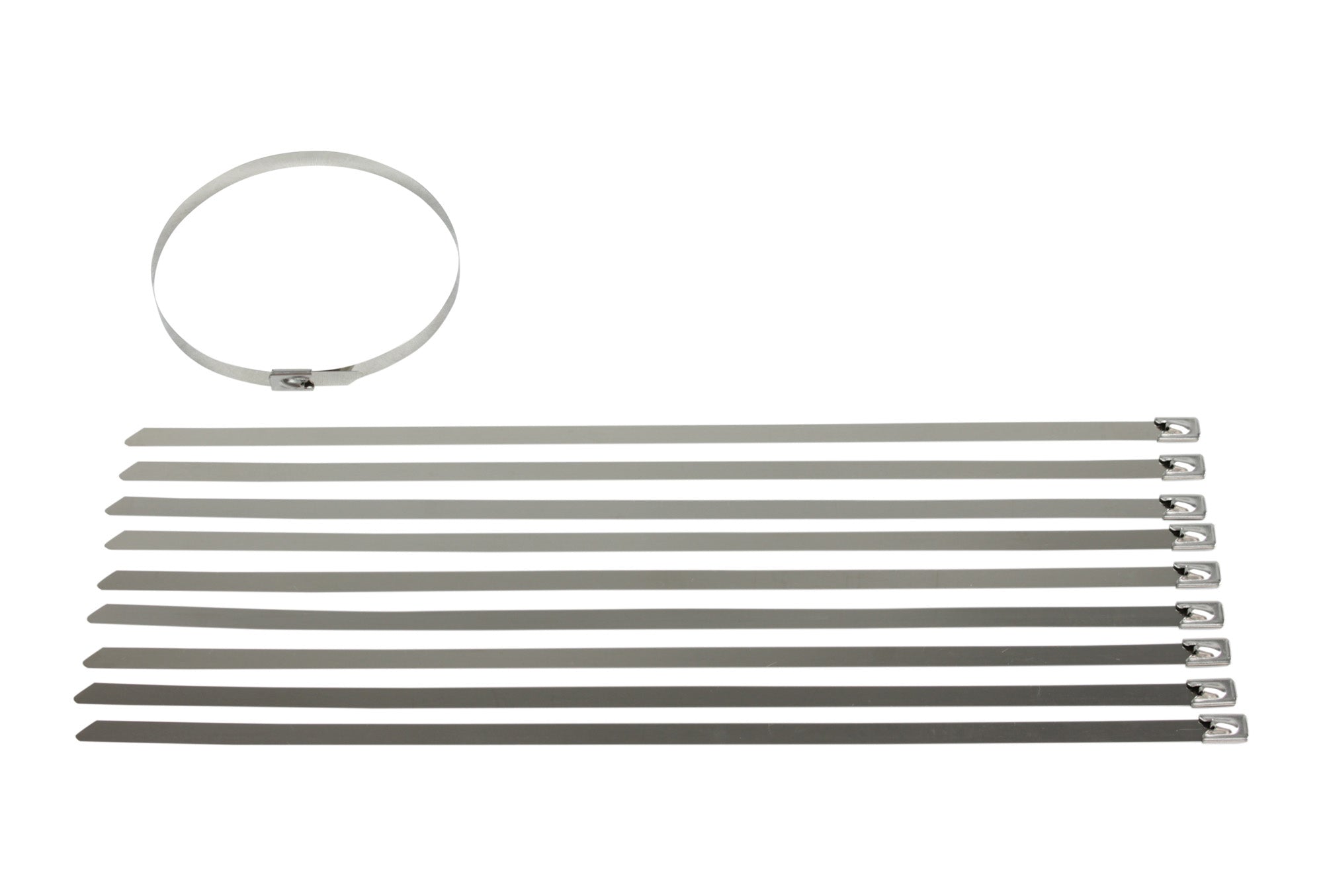 Stainless Steel Cable Ties - 10 Pack (350mm x 8mm)